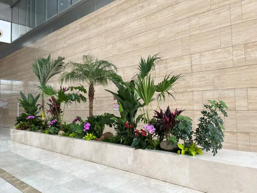 探索镇海绿植租摆，装点出独一无二的室内景致